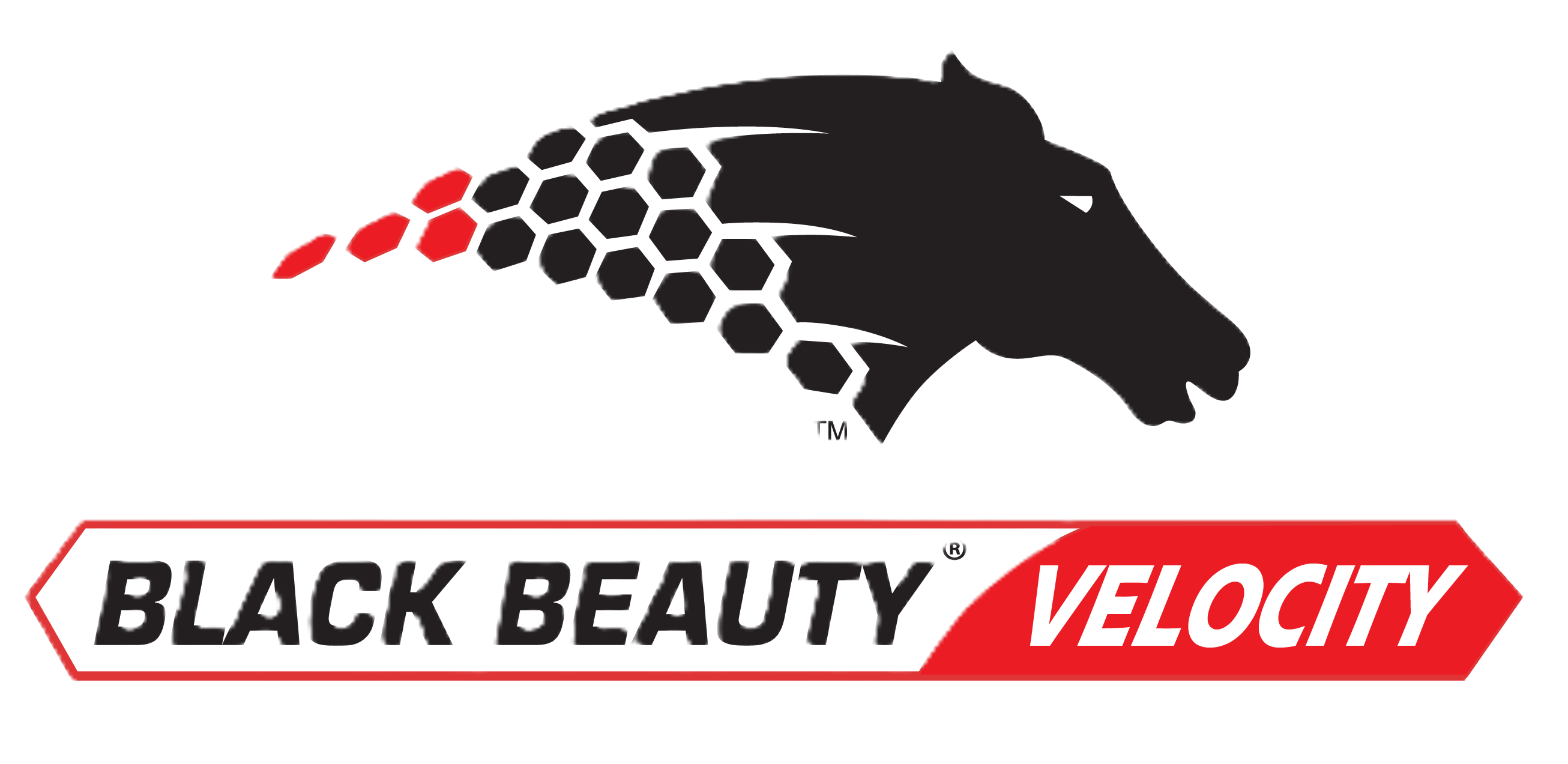 Black Beauty Velocity